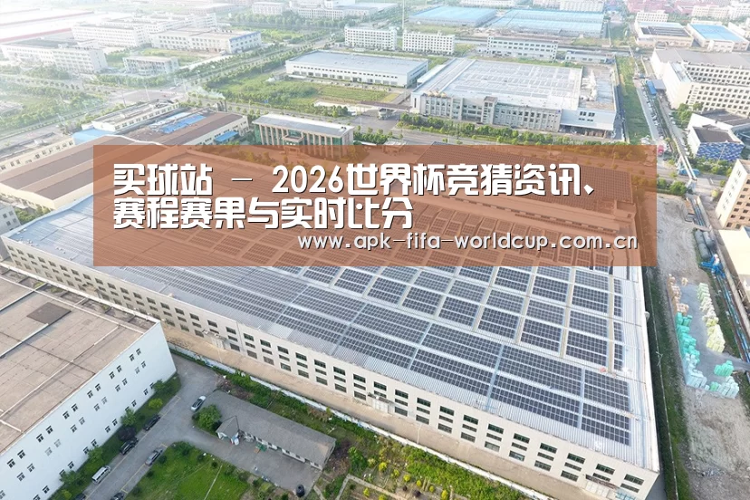 案例展示二