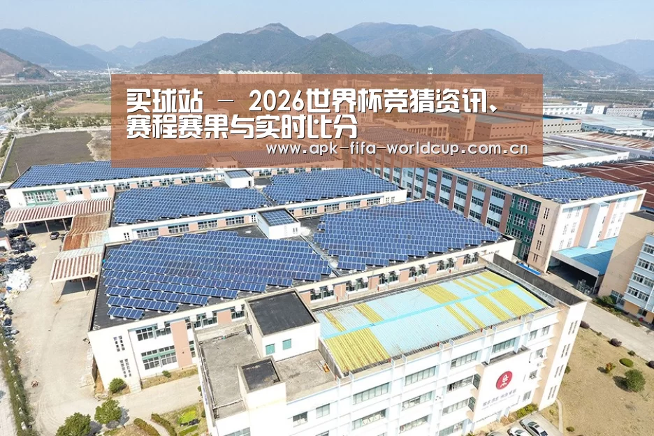 案例展示一