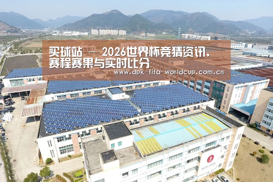 案例展示四