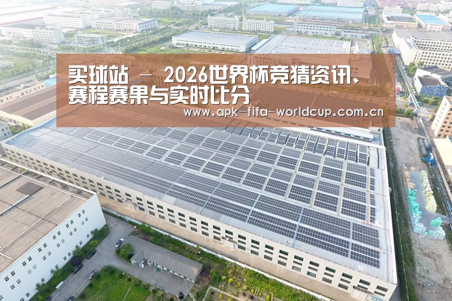 案例展示二