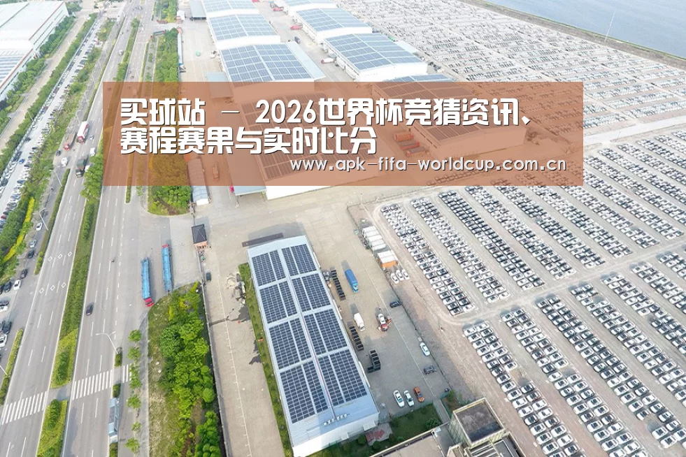 案例展示一