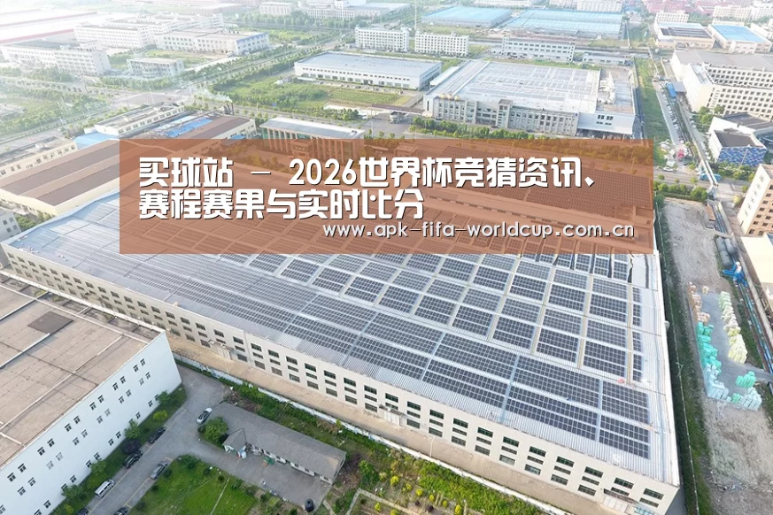 案例展示三