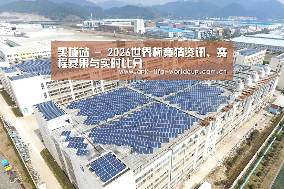 案例展示四