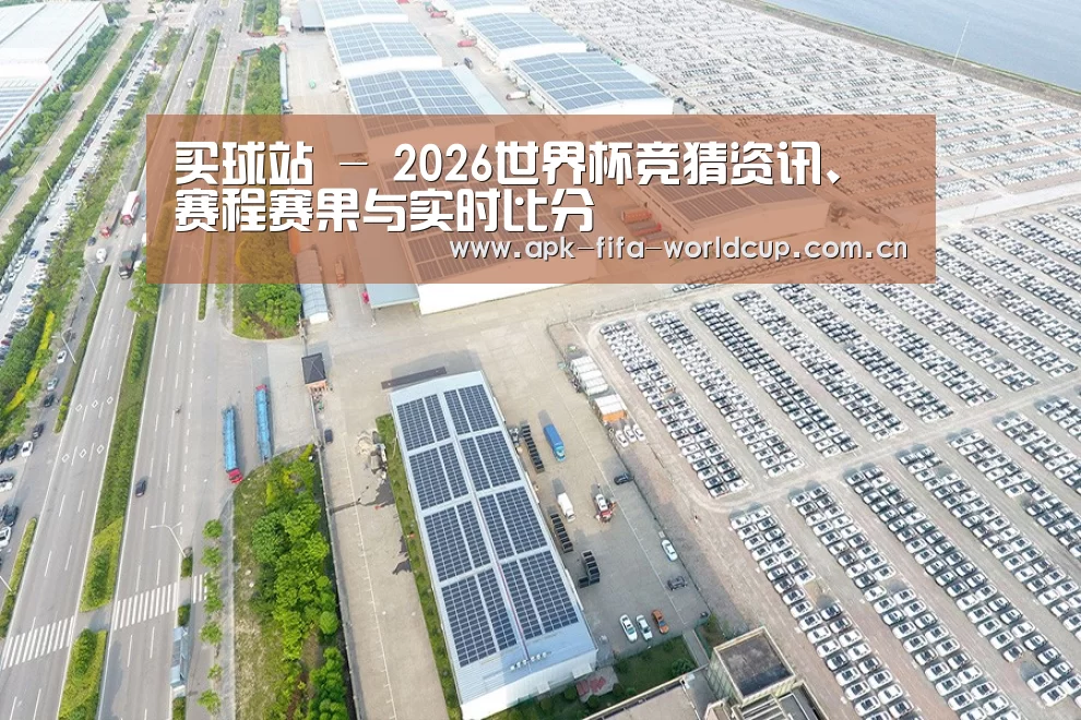 案例展示四