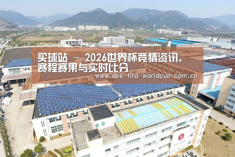 案例展示三