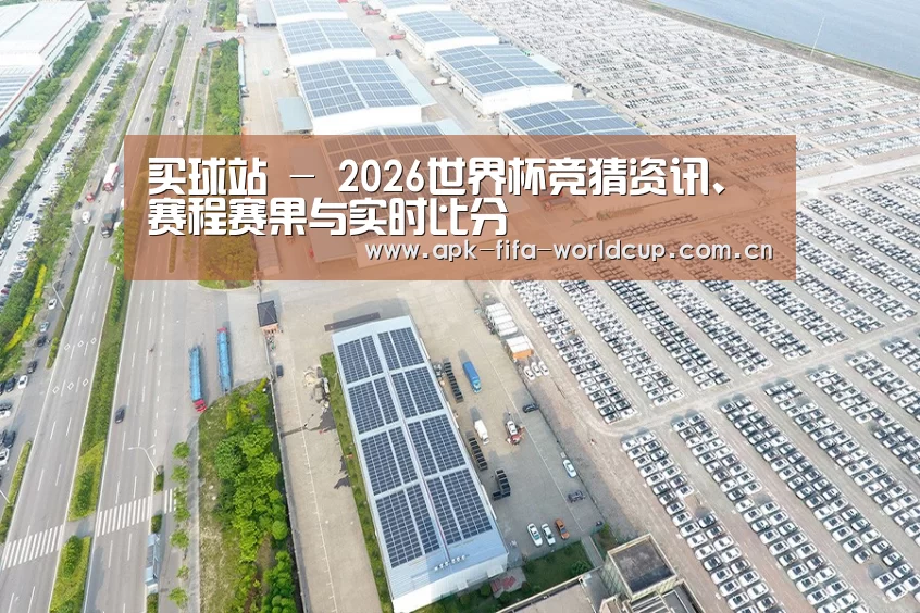 案例展示三