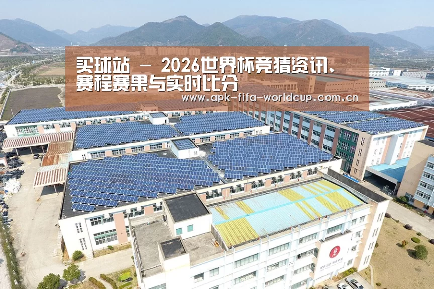 案例展示三