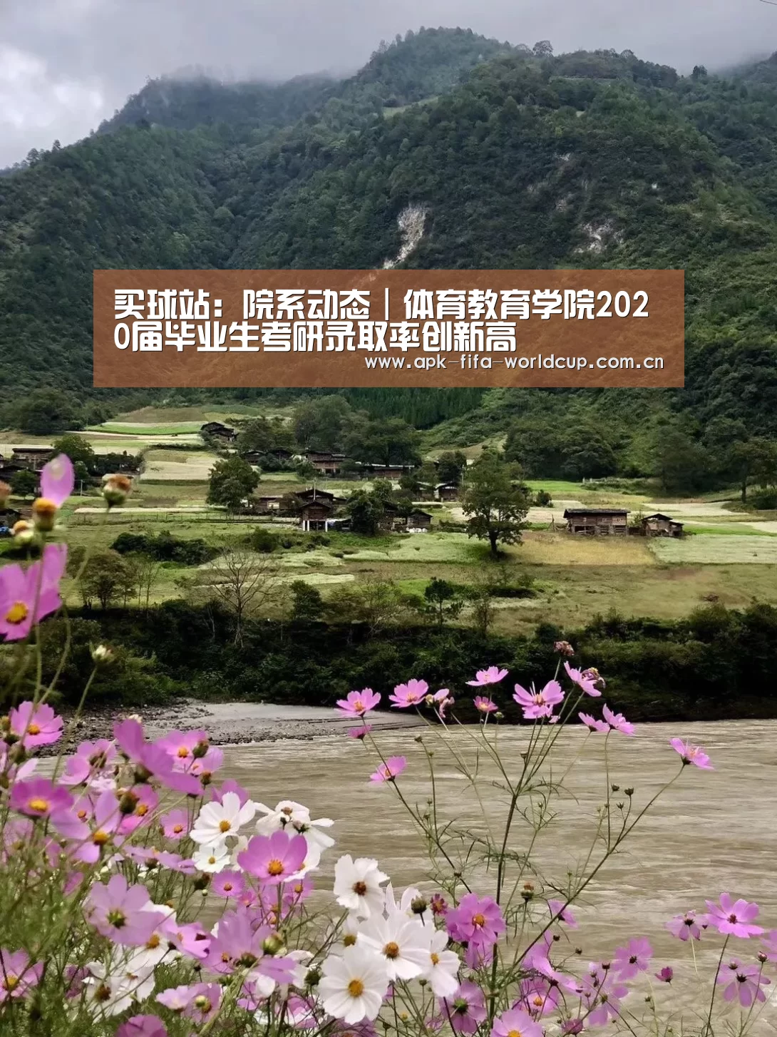 世界杯买球